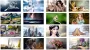 Tong-hop-Anh-Nen-Dep-Cho-May-Tinh-Dien-Thoai-P7-KeyPhanMem.VN.webp