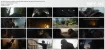 Kingdom.of.the.Planet.of.the.Apes.(2024).1080p.x265_Phụ.đề.Việt_[www.HD4Pro.Com].mkv_thumbs.webp