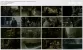 The.Shape.of.Water.(2017).2160p.BluRay.x265.10bit.HDR AAC.5.1._Phụ.đề_HD4Pro.Com.mkv_thumbs.webp