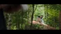 03 - PDV - The Handmaiden 2016 Extended 1080p Blu-ray Remux AVC DTS-HDMA.5.1- NguoiHauGai.mkv...webp