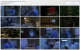 Saw.I.2004_1080p.x264.AC3_PhuDeViet_[www.HD4Pro.Com].mkv_thumbs.webp