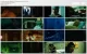Saw.III.2006_1080p.x264.AC3_PhuDeViet_[www.HD4Pro.Com].mkv_thumbs.webp