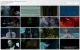 Saw.IV.2007_1080p.x264.AC3_PhuDeViet_[www.HD4Pro.Com].mkv_thumbs.webp