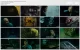 Saw.V.2008_1080p.x264.AC3_PhuDeViet_[www.HD4Pro.Com].mkv_thumbs.webp